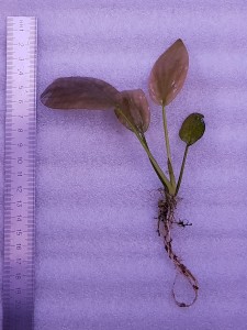 20181031_200309.jpg