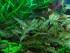 DSCN1043.JPG