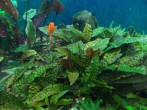 DSCN1045.JPG