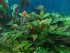 DSCN1045.JPG