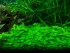 DSCN1046.JPG