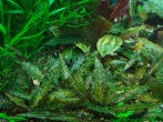 DSCN1055.JPG