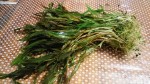 IMG_2018-10-08_220133.jpg