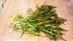 IMG_2018-10-08_220228.jpg
