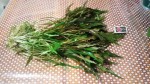 IMG_2018-10-08_220239.jpg