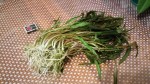 IMG_2018-10-08_220347.jpg