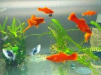 IMG_2018-10-31_203032.jpg