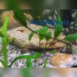 InShot_20181028_204831081.jpg