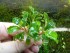 copy_261_copy_264_copy_749_copy_424_copy_673_copy_678_copy_968_copy_170_copy_75_copy_109_DSCN4998.jpg