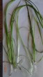 copy_394_002-1.jpg