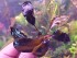 copy_620_copy_780_20181003_175545.jpg