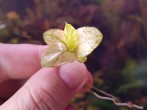 copy_732_20180911_092752.jpg