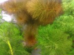 copy_971_200720161602.jpg