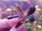 20181105_111014.jpg
