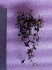 20181129_114755.jpg