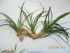 DSCN3642.JPG