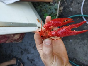 IMG_20180920_112759.jpg