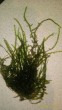 P_20181121_131923_p.jpg