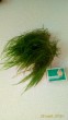 P_20181125_135819_p.jpg