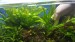 copy_419_copy_21_20180702_203629.jpg