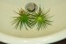 copy_422_copy_788_DSC_0125.jpg
