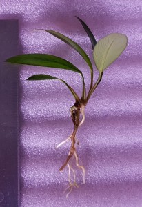 copy_439_20181106_154647.jpg