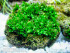 copy_55_Khao-Sok.jpg