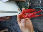 copy_828_IMG_20180920_112759.jpg
