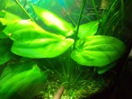 100_3193.JPG