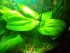 100_3193.JPG
