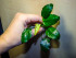 DSCF6970.jpg