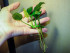 DSCF6972.jpg