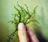 DSCF7012.jpg