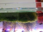 IMG_20181211_162223.jpg