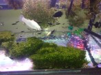 IMG_20181211_162251.jpg