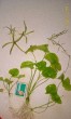 P_20181212_160902_p_1.jpg