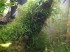copy_645_copy_526_IMG_20180802_223134.jpg