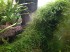 copy_853_copy_289_IMG_20180802_222626.jpg