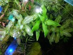 copy_999_IMG_20181204_183801.jpg
