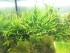 100_3161.JPG
