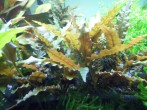 100_3247.JPG