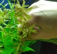 20151119_200437.jpg