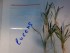 DSCN0010.JPG