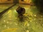 IMG_20190105_001641.jpg