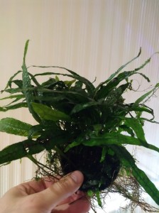 IMG_20190121_174930.jpg