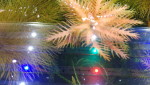 IMG_20190124_185905.jpg