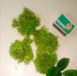 P_20181229_145320_p_1.jpg