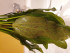 20190209_165023.jpg
