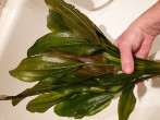 20190209_165757.jpg