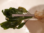 20190210_151604.jpg